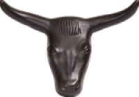 Steer Head ( Roping - Dummy )