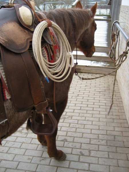 Stirrup Buckaroo Wood Bell Form